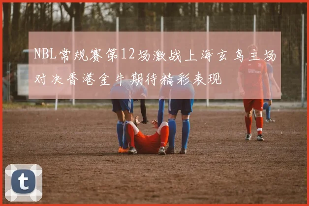 NBL常规赛第12场激战上海玄鸟主场对决香港金牛期待精彩表现