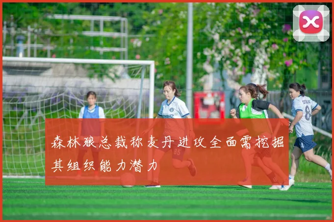 森林狼总裁称麦丹进攻全面需挖掘其组织能力潜力